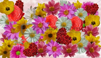 flower collage template