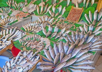 Fresh fish at a market