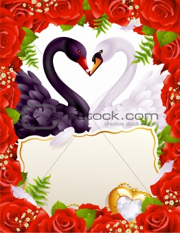 Greeting card with swans in love
