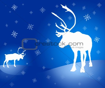 Two caribou reindeer Christmas card