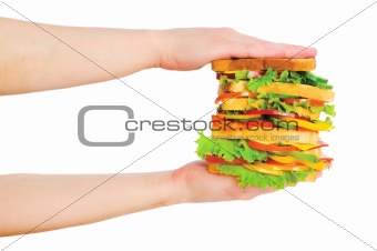 Two hands holding sandwich isolated on white