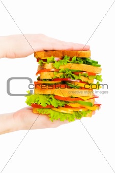 Hand holding sandwich isolated on the white background