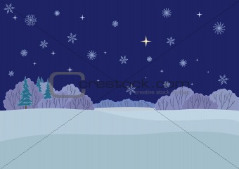 Landscape, winter night
