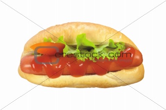 hot dog with yellow mustard isolated on white background