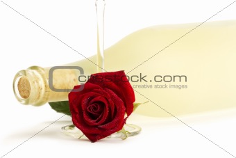 wet red rose with a empty champagne glass in front of a prosecco bottle
