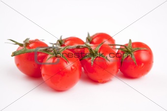 The ripened fruits of a tomato