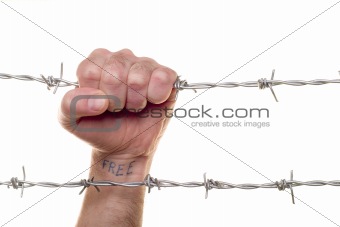 fist & barbed wire