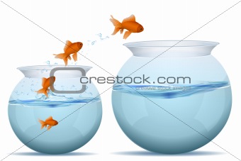 fishes jumping from water