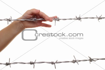 child hand on barbed wire