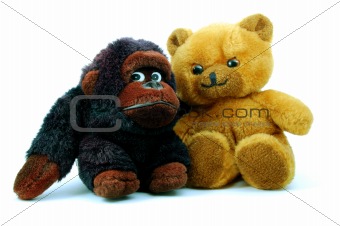 teddy bear isolated on white background