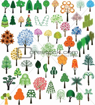Set of vector of trees