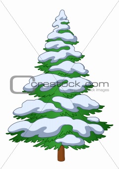 Fur-tree with snow