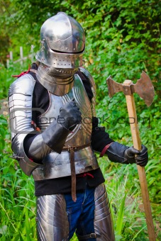 knight in shining armor 