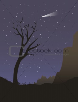 Alone tree at night