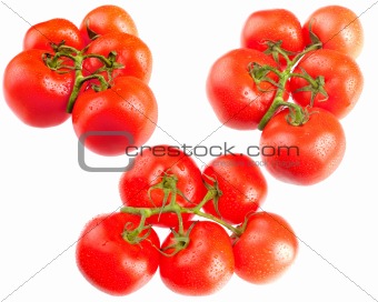 bunches of tomatos