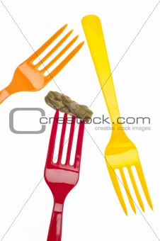 Fork with Canned Asparagus