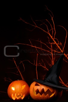 two fresh halloween pumpkin on black