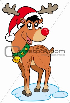 Reindeer in Christmas hat