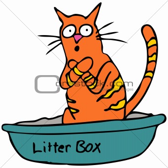 Kitty Litterbox