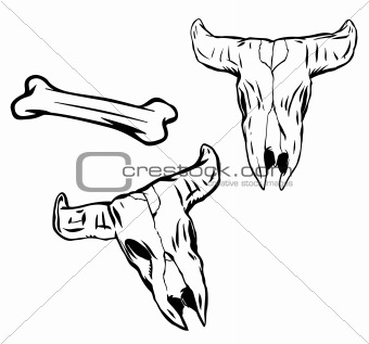 Set western cow skull. Vector
