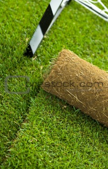 Turf grass roll on sport field - closeup