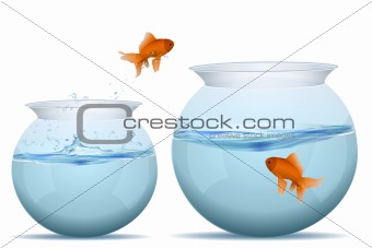 fish jumping from one tank to another