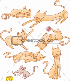 Six cats and one mouse