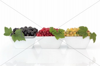 Black, Red and White Currant Fruit