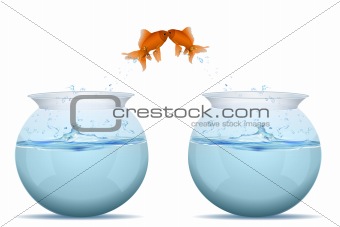 fishes jumping from tank