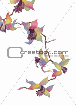 orchid branch isolated
