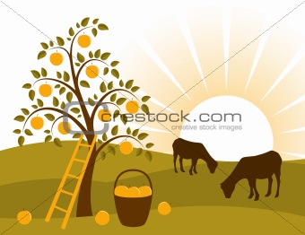 apple tree and grazing goats