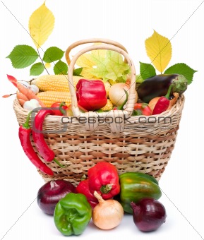 colorful vegetables in basket