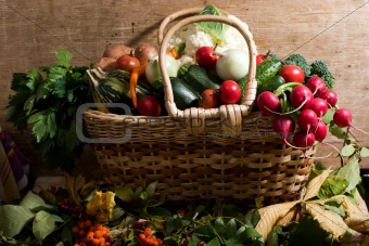 vegetables in the basket