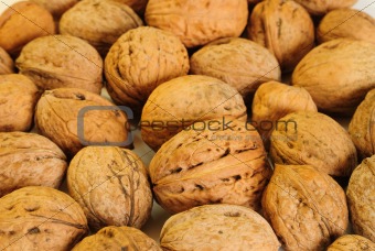 Background of walnuts