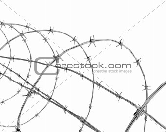 Barbed wire closeup 