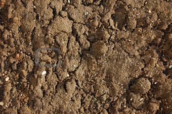 texture of soil