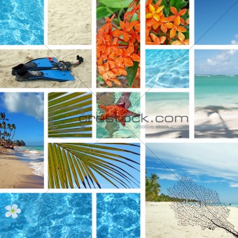 Tropical collage. Exotic travel. 