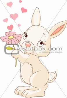 Bunny with a  flower