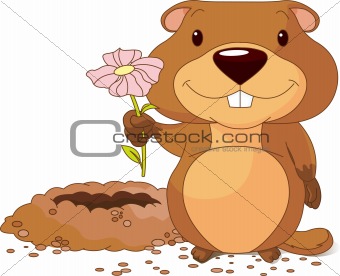 Groundhog holding a first flower