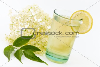 elderberry flower drink