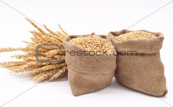 Sacks of wheat grains 