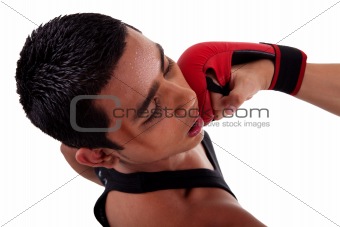 boxer fight, punch in face, isolated on white, studio shot