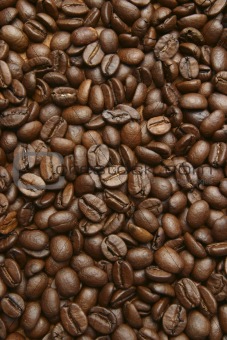 toasted coffe beans