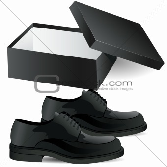 black shoe box and man's black business shoes