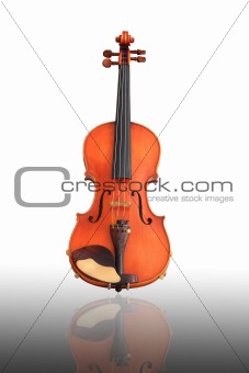 violin over white background,close-up 
