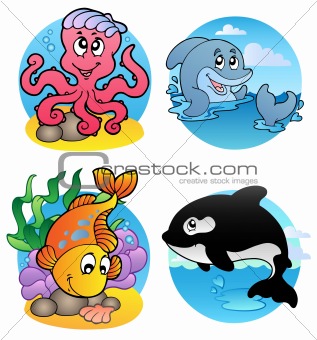 Various aquatic animals and fishes