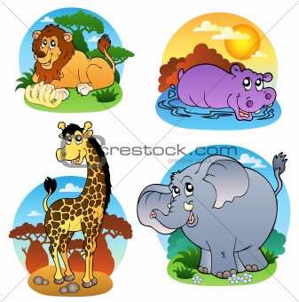 Various tropical animals 1
