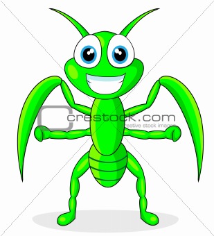 cute praying mantis