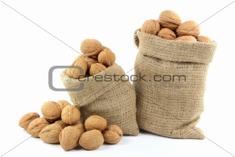 Unshelled Walnuts  Nuts. 