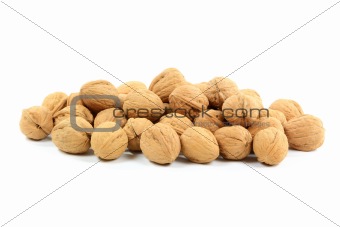 Pile Unshelled Walnuts  (Nuts with shells). 